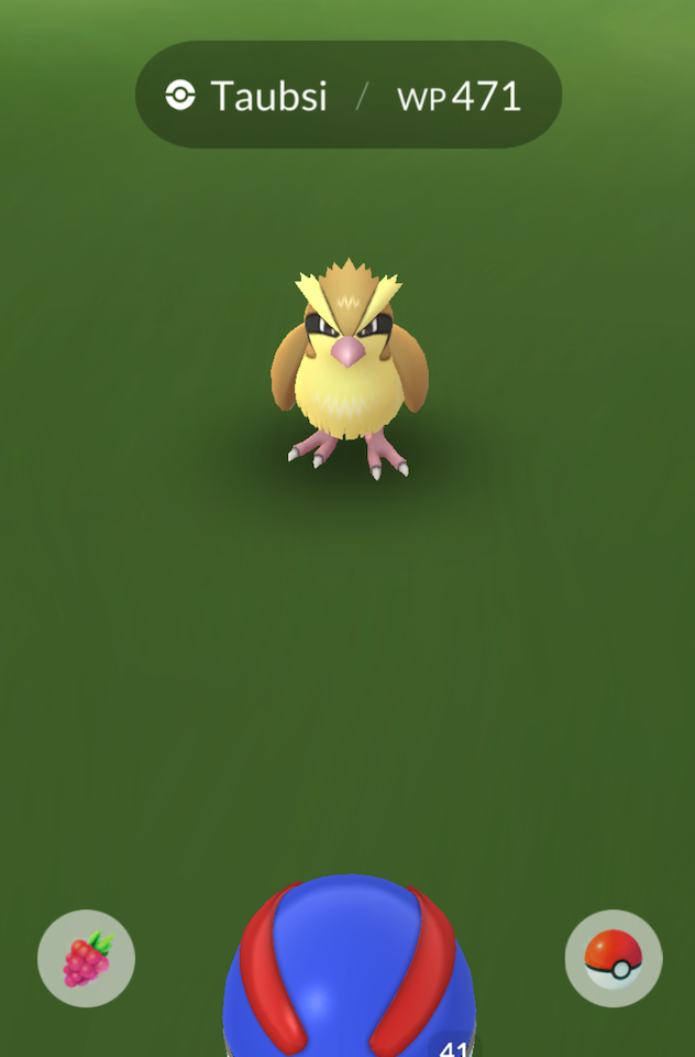 A screenshot of the Pokémon Go catch screen with pidgey